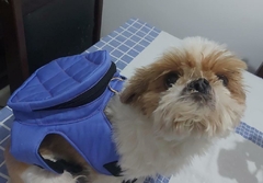 Mochila para Cães e Gatos Super Luxo - Artigos Mariah