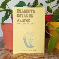 CUARENTA GOTAS DE AZUFRE - PAULA BRECCIAROLI