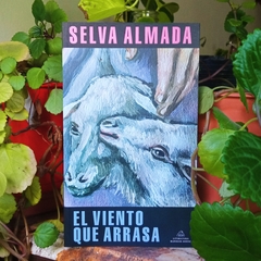 EL VIENTO QUE ARRASA - SELVA ALMADA