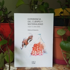 EXPERIENCIA DEL CUERPO Y MATERIALIDAD (OBJETOS EN OBRA) - MALENA ECHEVERRÍA