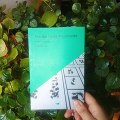 ESCRIBIR NO ES IMPORTANTE / POESÍA REUNIDA - VICENTE LUY