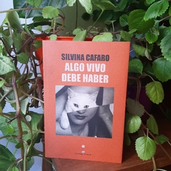 ALGO VIVO DEBE HABER - SILVINA CAFARO