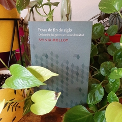 POSES DE FIN DE SIGLO - SYLVIA MOLLOY