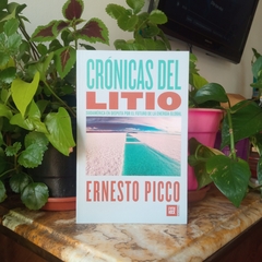 CRÓNICAS DEL LITIO. SUDAMÉRICA EN DISPUTA POR EL FUTURO DE LA ENERGÍA GLOBAL - ERNESTO PICCO