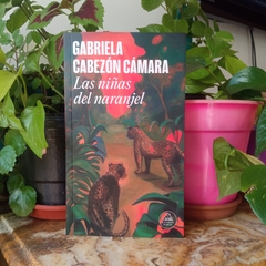 LAS NIÑAS DEL NARANJEL - GABRIELA CABEZÓN CÁMARA