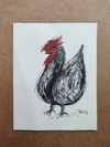 Gallo negro en tinta