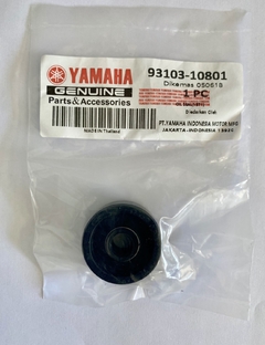 Retentor da Bomba D'água DT 200 Original Yamaha