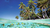 "Tropical"  Vinilo- Mural  Playas (130x70cm)