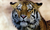 Vinilo Decorativo “ Tigres " ( 100 x 70 cm)
