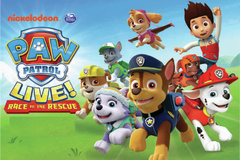 " Paw Patrol " Banner para colgar 120x80cm