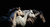 “Horses”Vinilo decorativo adhesivo  130x70 cm