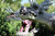 "Dinosaurios"Banner para colgar 120x80cm
