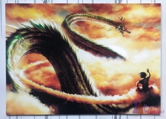 Dragon Ball Z - Goku Y Shenlong