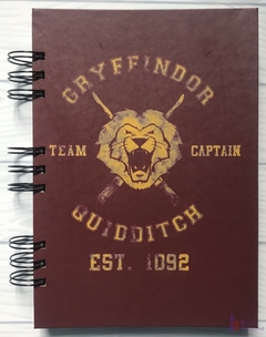 Harry Potter - Gryffindor Quidditch