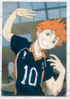 Haikyuu!!! - Shoyo Hinata