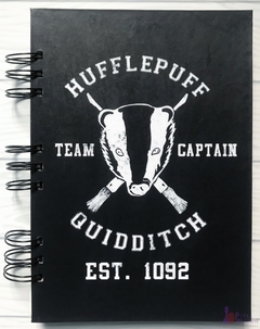 Harry Potter - Hufflepuff Quidditch