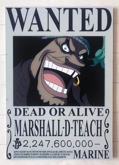 One Piece - Marshall D. Teach / Barbanegra