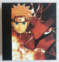 Naruto Shippuden - Naruto y Kyubi