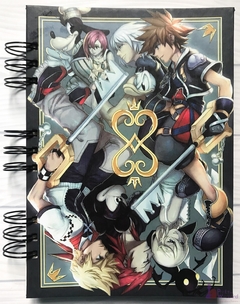 Kingdom Hearts - Sora y Roxas