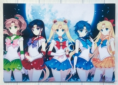 Sailor Moon - Usagi Tsukino, Ami Mizuno, Makoto Kino, Rei Hino y Minako Aino