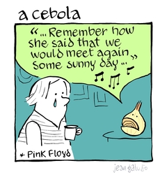 A cebola canta Pink Floyd