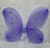 Mariposa elastica