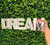 Dream Deco 40 x 10 x 2 - comprar online