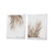 Antique Feather | Set x 2 Cuadros 40x50cm en internet