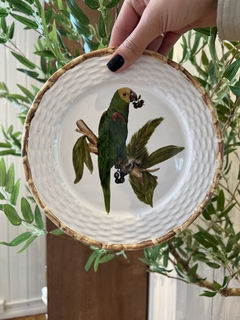 Prato Tropical Birds - Pacco Home  Decor