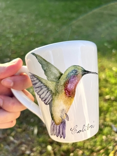 Colibrí