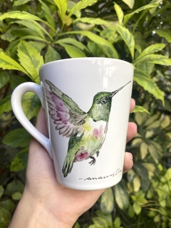 colibrí