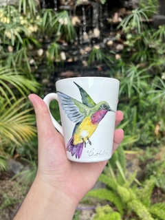 Colibrí