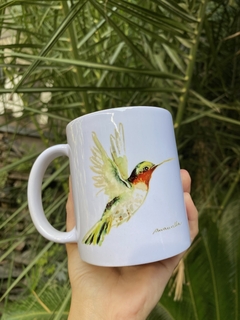 Serie Colibri 4