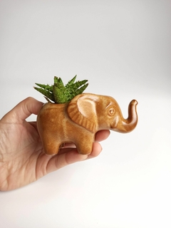 Vaso elefantinho - dourado - comprar online