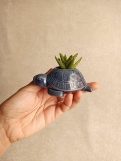 Imagem do Vaso pequeno tartaruga - azul cristal