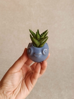 Mini vaso baiacu - céu - Cerâmica Priscilla Ramos