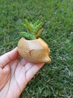 Mini vaso ouriço (hedgehog) - dourado - comprar online