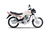 Mondial RD 150cc Calle Base - comprar online