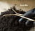 MiniKit Cuidados para plantas - comprar online