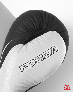 Guantes Boxeo 10 Oz. Modelo: Forza. Marca: PROYEC - Michelangeli Deportes