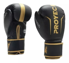 Guantes Boxeo 12Oz. Modelo: Forza. Marca: PROYEC en internet