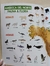 Atlas de animales con stickers - comprar online