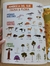 Atlas de animales con stickers - Infante Libros