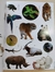 Imagen de Atlas de animales con stickers