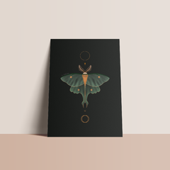 Mariposa (Verde) - Print