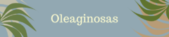 Banner da categoria Oleaginosas