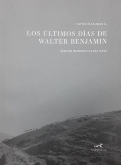 Los Últimos días de Walter Benjamin - Patricio Salinas