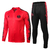 Conjunto de treino Jordan Paris Saint-Germain (zíper completo)