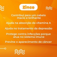 Imagem do Immunevit Vitaminas C + D + Zn Imunidade Fortalecida em 60 Cápsulas - Really