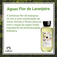 Desperte seus Sentidos com Águas Florais: Laranjeira, Lavanda, Jabuticaba, Violeta e Lírio Natura 170ml - loja online